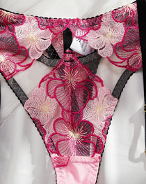 Sexy Deep-V Shaping Sheer Floral Embroidered Lingerie Set