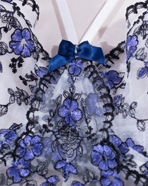 Sexy Floral Embroidered Mesh Boned Bustier Lingerie Set