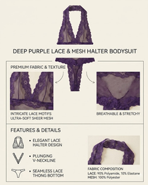 Plus Size Sexy Lace Sheer Halter Lingerie Bodysuit