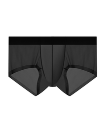 Men’s Ice Silk Sheer Cooling Briefs