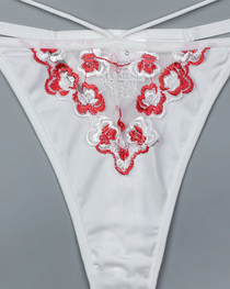 Luxury Floral Embroidered Crisscross Strap Lingerie Set