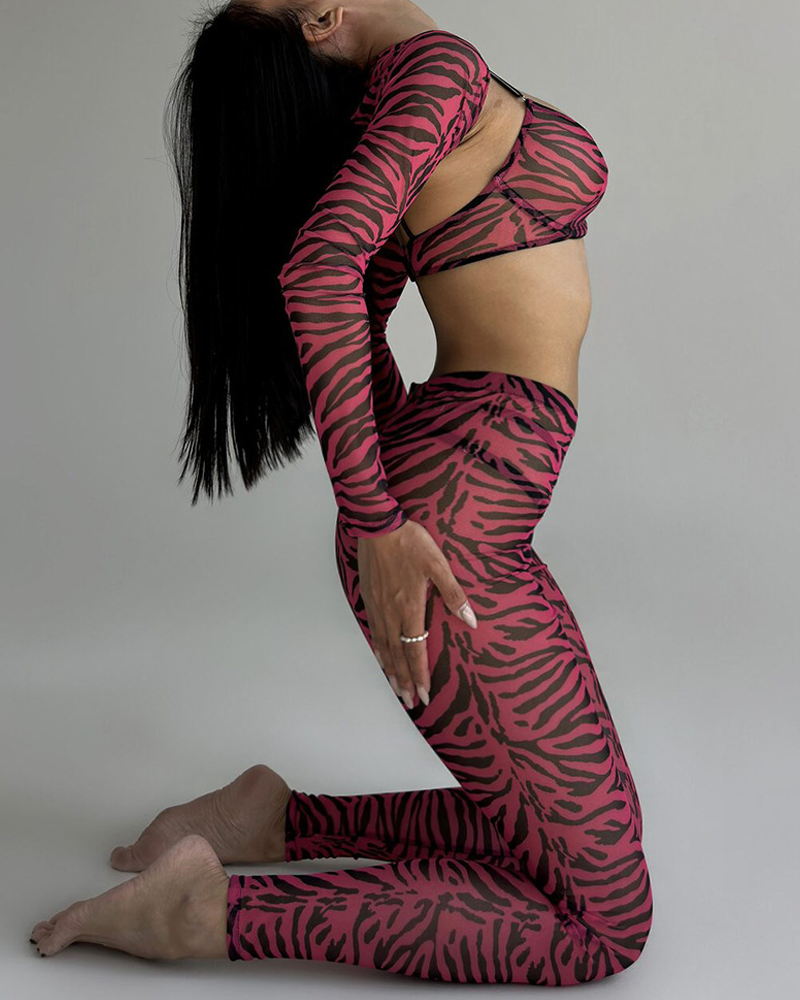 Sexy Zebra Print 4-Piece Lingerie Set