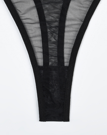Sexy Solid Color Sheer Mesh Lingerie Set