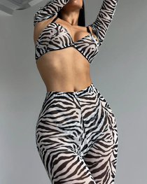 Sexy Zebra Print 4-Piece Lingerie Set