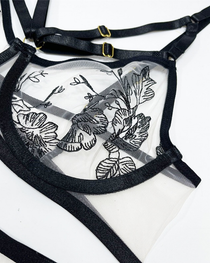 Lace Embroidered Crisscross Lingerie