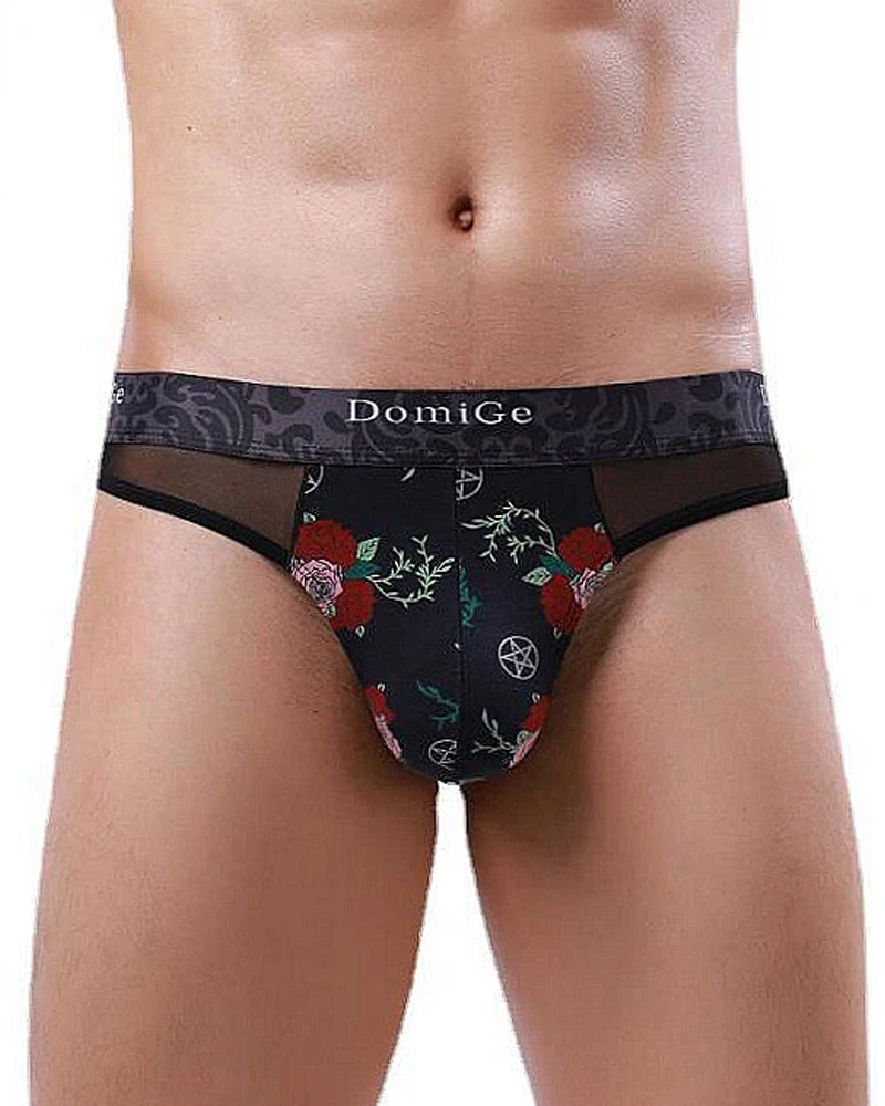 2-Pack Sexy Men's Printed Mesh Low-Rise Thongs