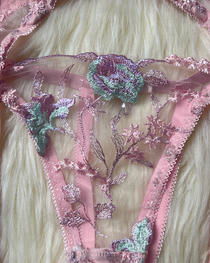 Sexy Sheer Embroidered Mesh Lingerie Set
