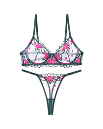 Sexy Embroidered Mesh Lingerie Set