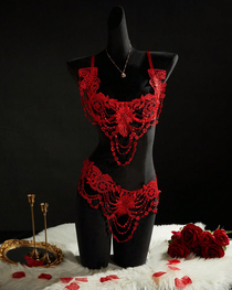 Sexy Lace Fringe Cutout Lingerie Set