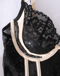 Sexy Lace & Sheer Mesh Boned Corset Lingerie Set