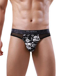 2-Pack Sexy Men's Printed Mesh Low-Rise Thongs