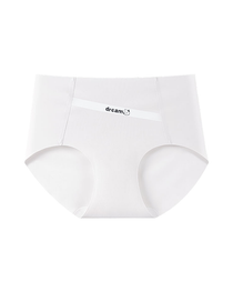 Seamless Lightweight Ice Silk Panties
