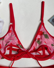 Sexy Red Floral Mesh Lingerie Set