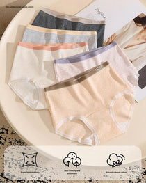 Plus Size 10A Antibacterial Cotton Extra Long Crotch High Waist Comfortable Briefs