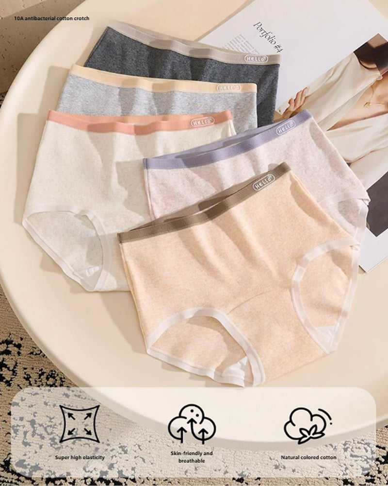 Plus Size 10A Antibacterial Cotton Extra Long Crotch High Waist Comfortable Briefs