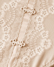 Plus Size Lace Sheer Mesh Seamless High-waisted Panties
