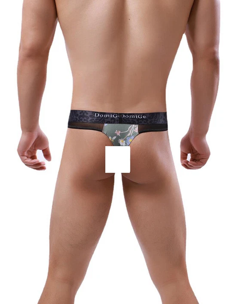 2-Pack Sexy Men's Printed Mesh Low-Rise Thongs