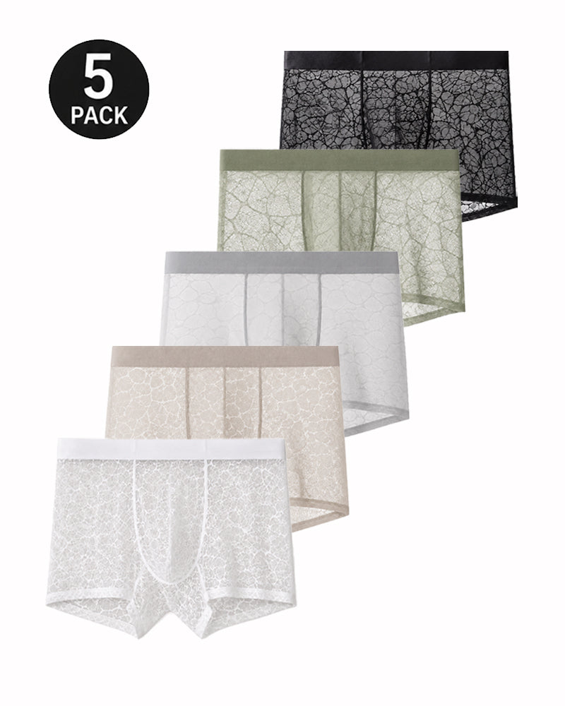 Men's Ultra-thin Lace Breathable Mesh Boxer Briefs