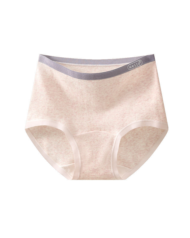 Plus Size 10A Antibacterial Cotton Extra Long Crotch High Waist Comfortable Briefs