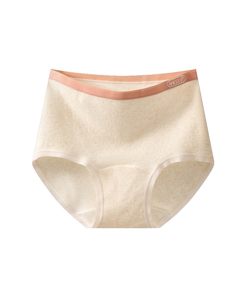Plus Size 10A Antibacterial Cotton Extra Long Crotch High Waist Comfortable Briefs