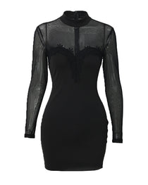 Shimmering Mesh Floral Embroidery Patchwork Round Neck Long Sleeve Bodycon Dress