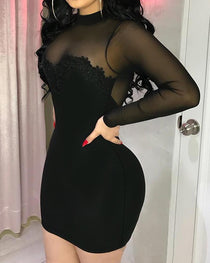 Shimmering Mesh Floral Embroidery Patchwork Round Neck Long Sleeve Bodycon Dress