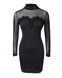 Shimmering Mesh Floral Embroidery Patchwork Round Neck Long Sleeve Bodycon Dress